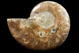 Bargain, Agatized Ammonite Fossil (Half) - Madagascar #85216-1